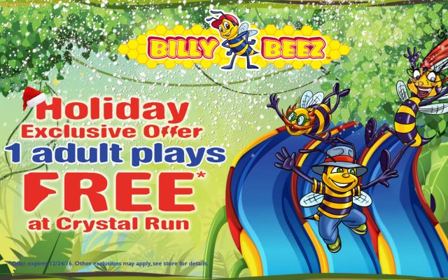 billy-beez-crystal-run-winter-recovered