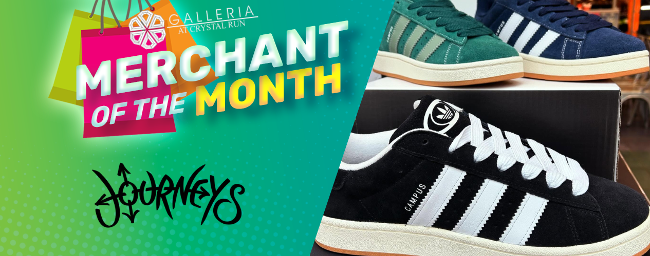GCR November Box Lunch Web Banner 1 (2)