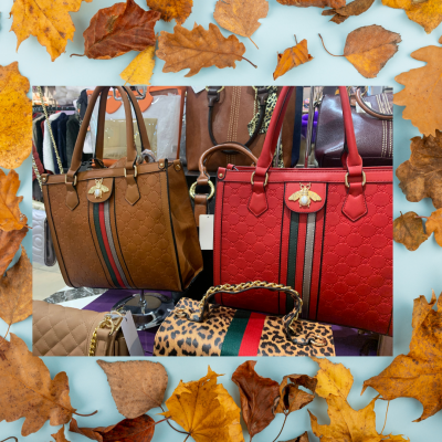 Fall Blog 4 Fall Blog 4