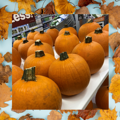 Fall Blog 8 Fall Blog 8
